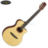 dan-guitar-classic-yamaha-ntx5 (4)