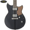 dan-guitar-dien-yamaha-rsp20cr (2)