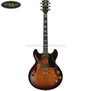 Đàn Guitar Điện Yamaha SA2200