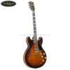 dan-guitar-dien-yamaha-sa2200 (2)