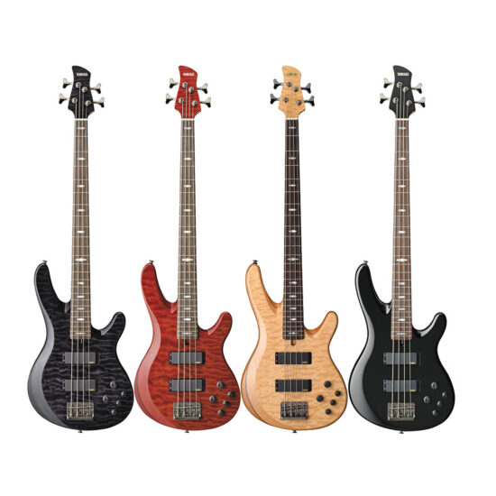 dan-guitar-dien-yamaha-trb1004j