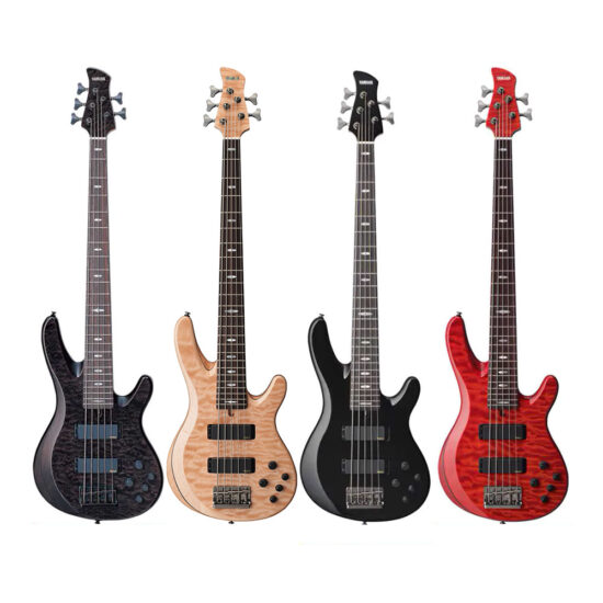 dan-guitar-dien-yamaha-trb1005j