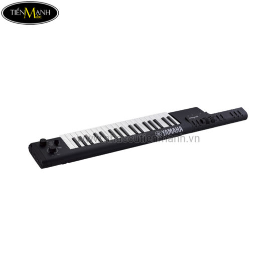 dan-keystar-yamaha-shs-500-sologenic-3