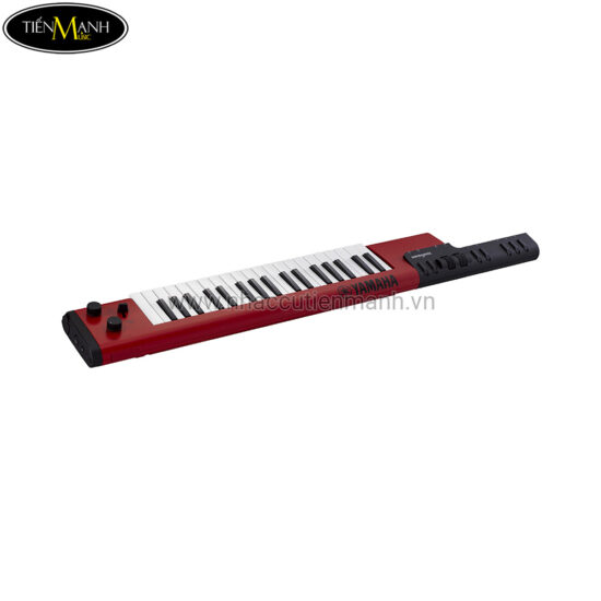 dan-keystar-yamaha-shs-500-sologenic-3
