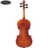 dan-violin-yamaha-v10g (4)