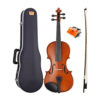 dan-violin-yamaha-v3ska-new