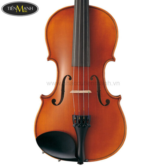 Đàn Violin Yamaha V7SG Size 4/4 3/4 1/2 1/4 1/8 - Ảnh 3