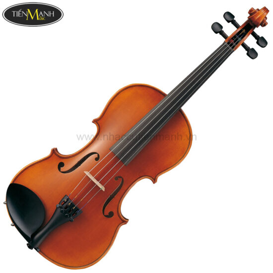 Đàn Violin Yamaha V7SG Size 4/4 3/4 1/2 1/4 1/8 - Ảnh 5