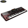 dan-organ-korg-pa-1000 (5)