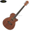 ibanez-aeg8emh-opn-mahogany-acoustic-guitar-w-electronics-open-pore-natural (2)