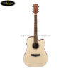 ibanez-pf10ce-opn-acoustic-guitar-open-pore-natural (1)