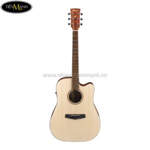 Ibanez PF10CE-OPN Acoustic Guitar, Open Pore Natural