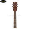ibanez-pn19-onb-pf-parlor-acoustic-guitar-natural-browned-burst (3)