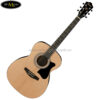 ibanez-vc50njp-nt-jam-pack-acoustic-guitar-natural (4)