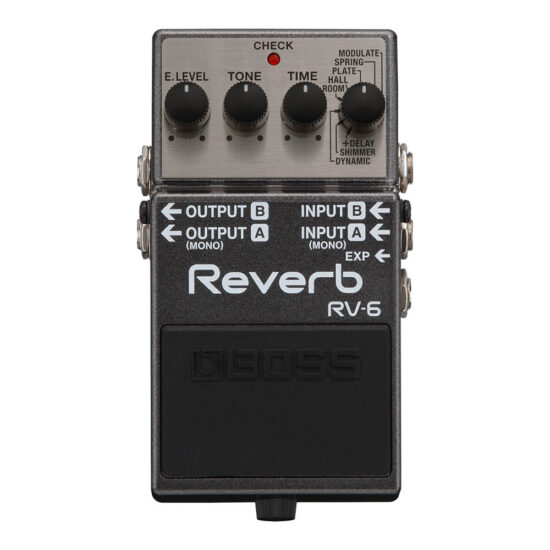 pho-guitar-boss-rv-6-