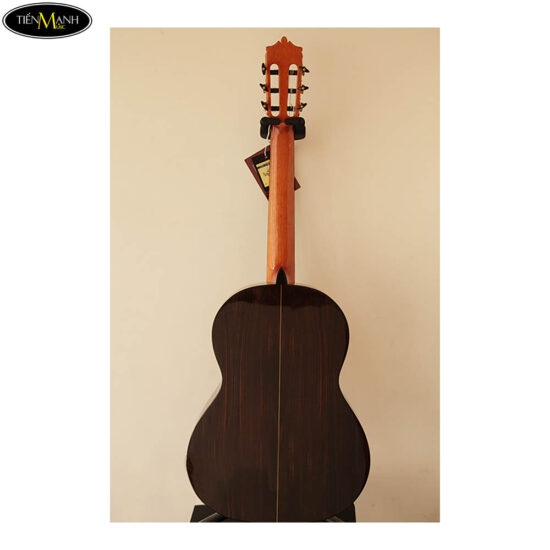 Đàn Guitar Classic Martinez MCG-50S - Nhạc Cụ Tiến Mạnh