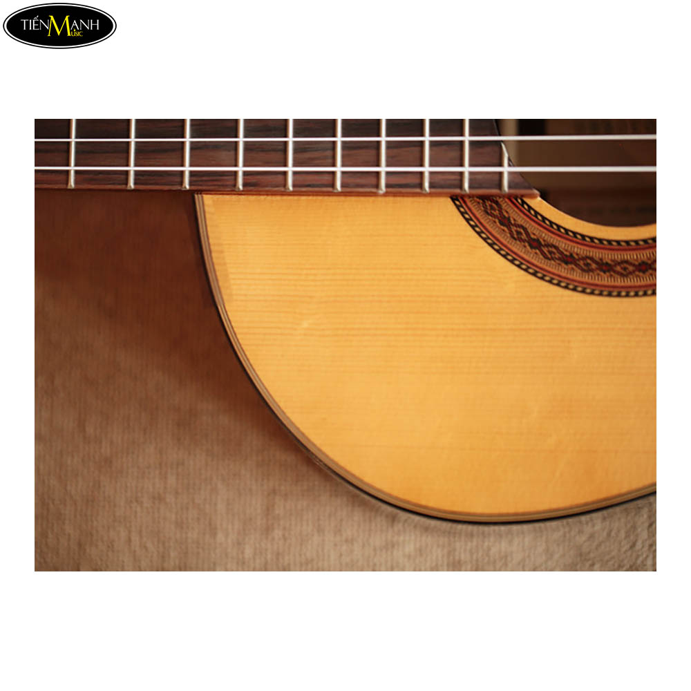Đàn Guitar Classic Martinez MCG-50S - Nhạc Cụ Tiến Mạnh
