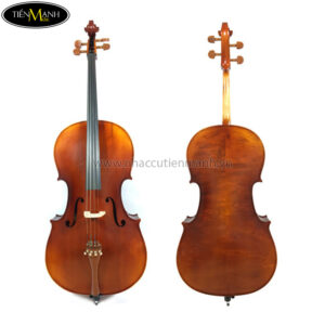 Đàn Cello Scott 601 size 4/4CL60144