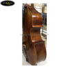dan-double-bass-amati-d850sfl-contrabass (2)