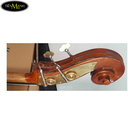 Đàn Double Bass Amati DB401 Contrabass ( size 3/4, size 4/4 ) - Ảnh 2
