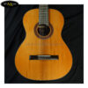 dan-guitar-classic-martinez-mcg-48c (4)