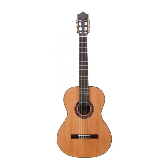 dan-guitar-classic-martinez-mcg-48c