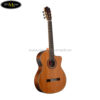 dan-guitar-classic-martinez-mcg-58-ce (2)