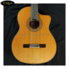 dan-guitar-classic-martinez-mcg-88c-ce (3)