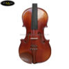 dan-viola-cremona-gcv140 (2)