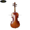 dan-viola-cremona-gcv140 (4)