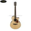 ibanez-ae205jr-opn-junior-acoustic-guitar-w-bag-open-pore-natural (1)