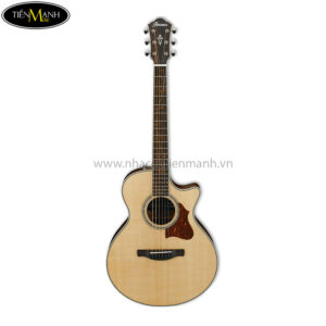 Ibanez AE205JR-OPN Junior Acoustic Guitar w/Bag, Open Pore Natural