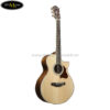 ibanez-ae205jr-opn-junior-acoustic-guitar-w-bag-open-pore-natural (4)