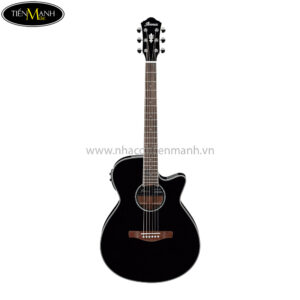 Ibanez AEG10II-BK Acoustic/Electric Guitar, RW Neck, Black