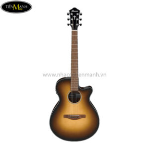 Ibanez AEG50-DHH Acoustic Guitar, Dark Honey Burst High Gloss