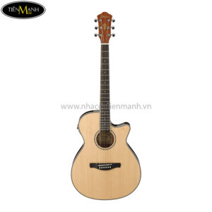 Ibanez AEG8E-NT Acoustic Guitar, Natural