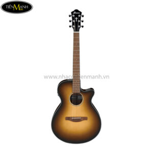 Ibanez AEWC11-NNB Acoustic Guitar, Natural Browned Burst High Gloss