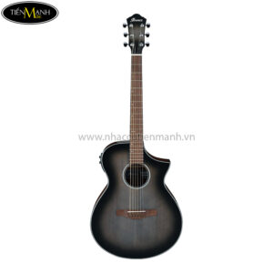 Ibanez AEWC11-TCB Acoustic Guitar, Transparent Charcoal Burst
