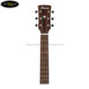 ibanez-avc9ce-opn-artwood-vintage-thermo-aged-acoustic-guitar-w-electronics-open-pore-natural (3)