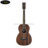 ibanez-avn2-opn-artwood-vintage-acoustic-guitar-open-pore-natural (1)