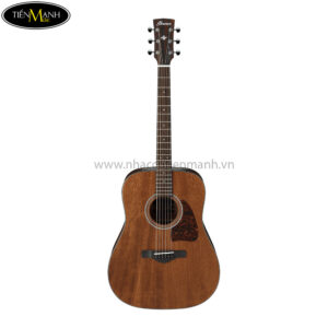 Ibanez AW54-OPN Artwood Acoustic Guitar, Open Pore Natural