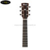 ibanez-aw54jr-opn-artwood-junior-acoustic-guitar-open-pore-natural (2)