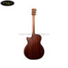 martin-gpc-11e-road-series-acoustic-guitar-w-case (2)