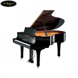 Đàn Piano Grand Yamaha C3 PE