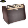 fishman-loudbox-artist-120w-acoustic-guitar-amplifer-uk (4)