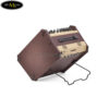 Fishman Loudbox Performer Bluetooth chất lượng cao