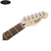 guitar-dien-fsr-sq-affinity-tele-lrl-lpb (2)