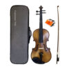 dan-violin-amati-1969-vf300