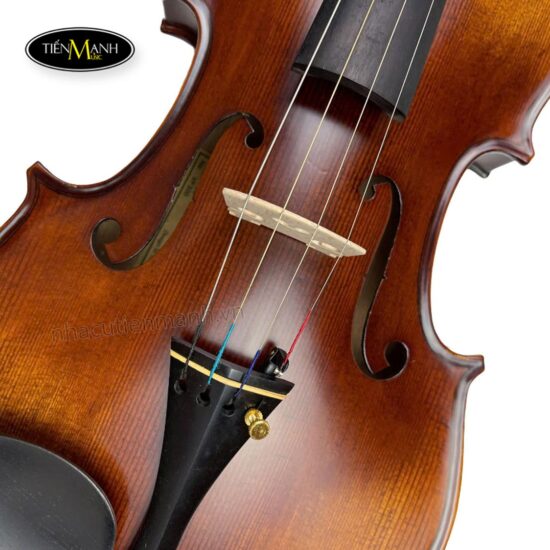 Đàn Violin Amati-1969 VF300( VF500) (1/4 1/2 3/4 4/4), Gỗ Thịt - Ảnh 2