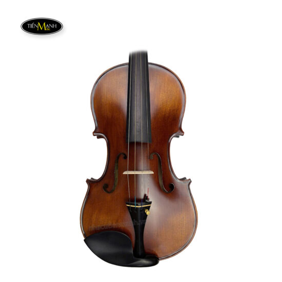 Đàn Violin Amati-1969 VF300( VF500) (1/4 1/2 3/4 4/4), Gỗ Thịt - Ảnh 4
